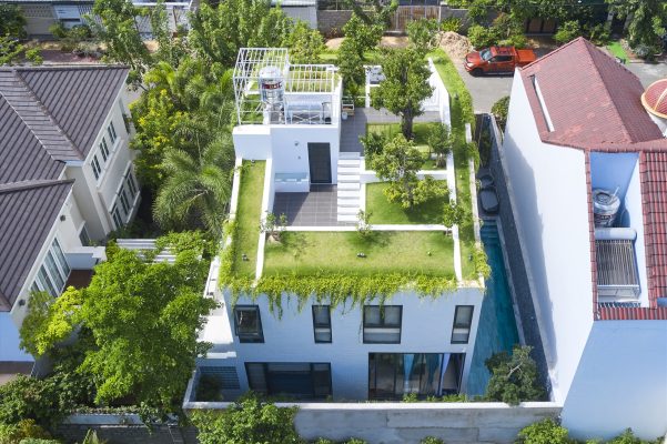 Trồng cây xanh trên mái nhà chống nóng