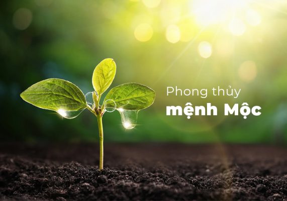 Thiết kế xây nhà cho gia chủ mệnh mộc.webp