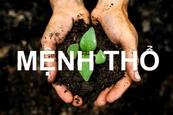 Thiết kế xây nhà cho gia chủ mệnh thổ.webp